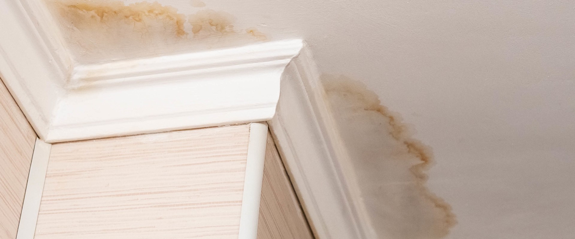 What damage can a leaking gutter cause?