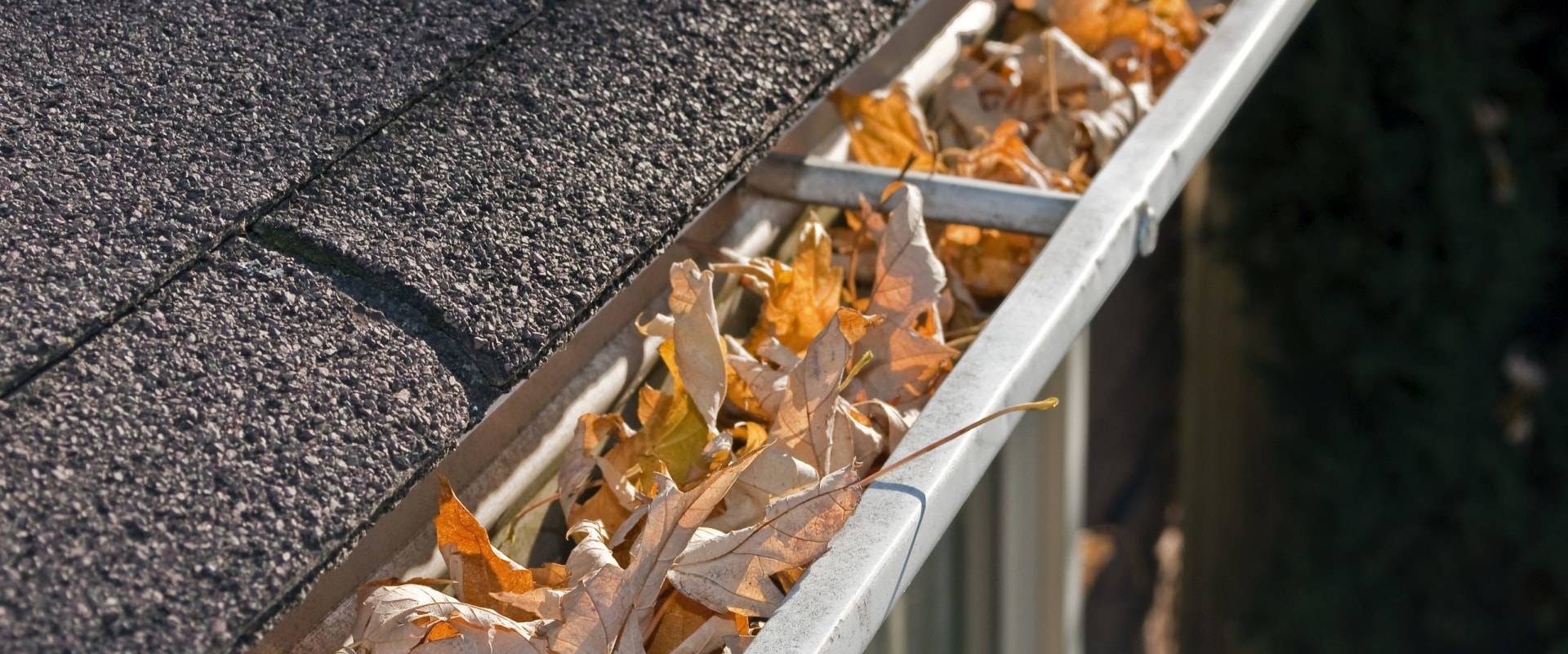 What issues can not having gutters cause?